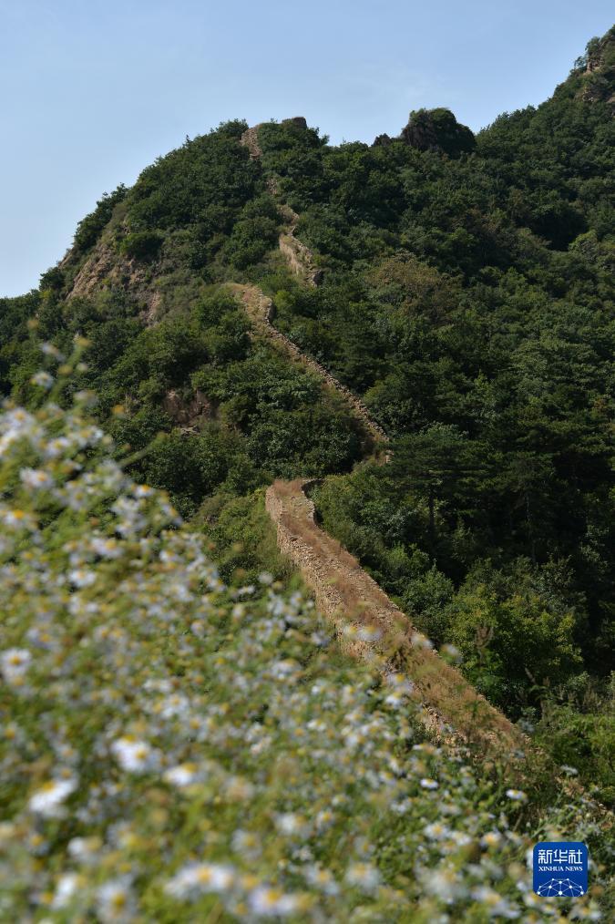 仲博登录